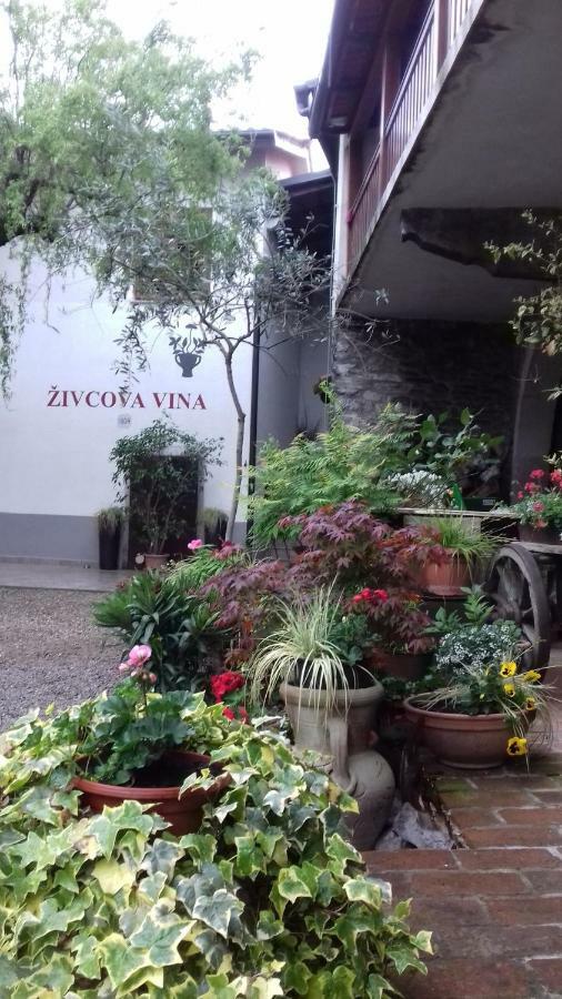 Apartmaji Pri Zivcovih Dutovlje 외부 사진