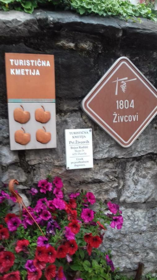 Apartmaji Pri Zivcovih Dutovlje 외부 사진